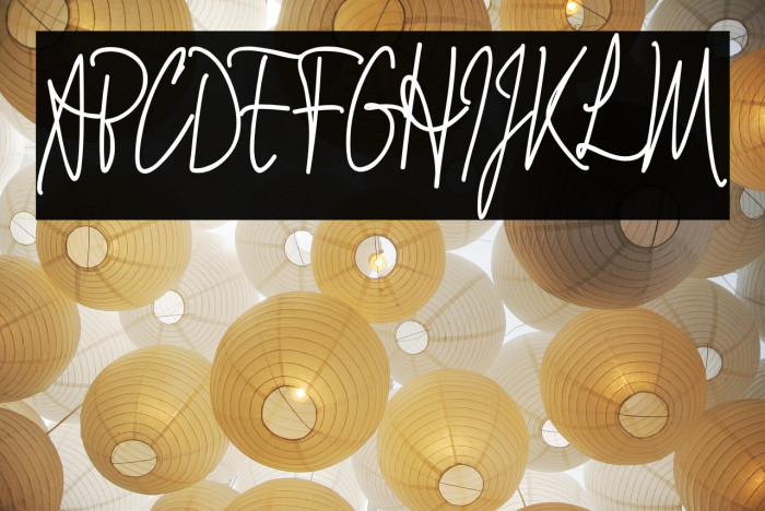 Signathy_Demo Example 3