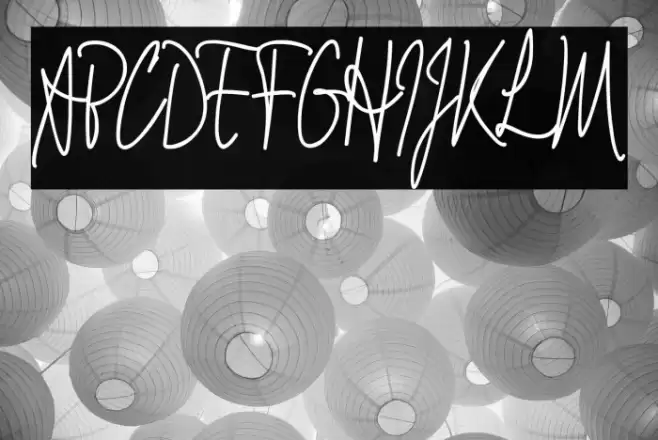 Signathy_Demo Font examples