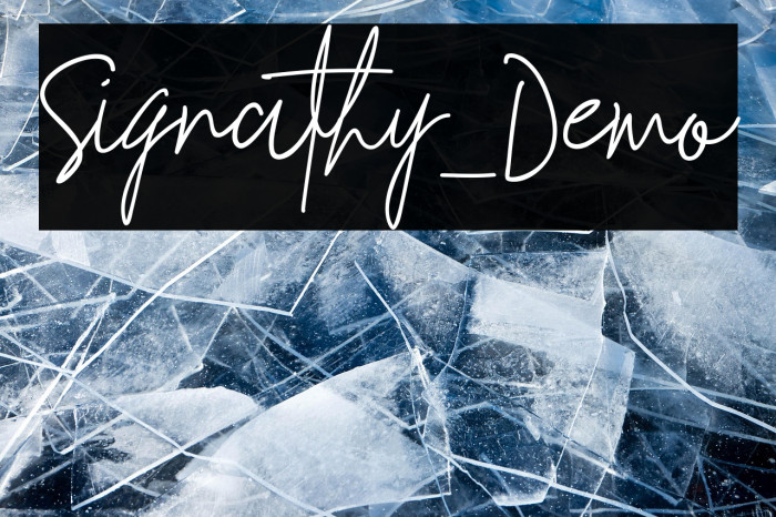 Signathy_Demo Example 1