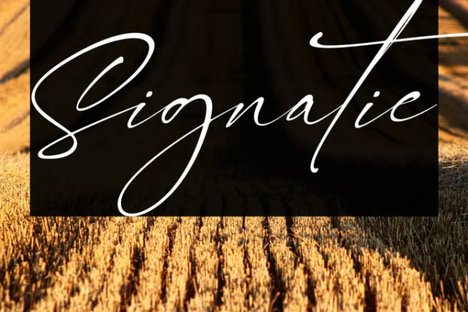 Signatie Example 1