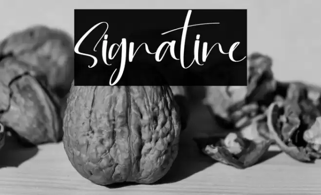 Signatine Font examples