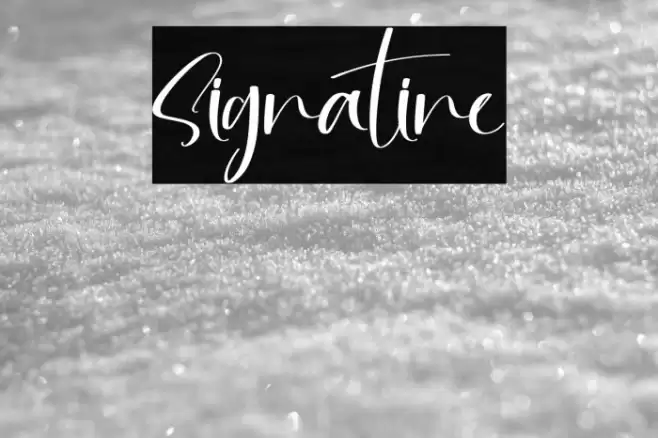 Signatine Font examples
