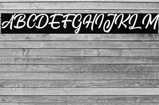 Signation Font examples