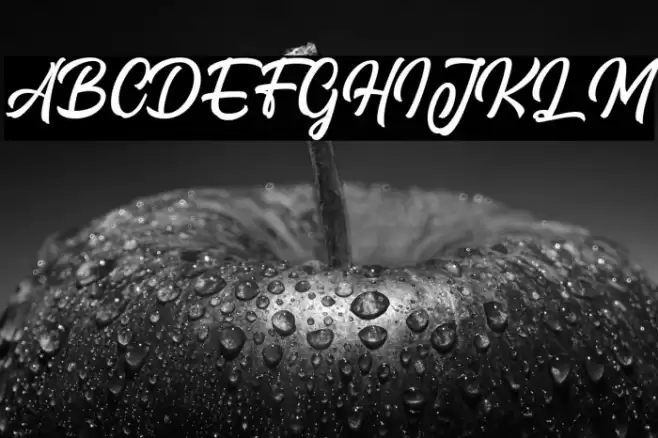 Signation Font examples