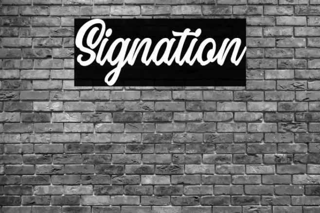 Signation Font examples