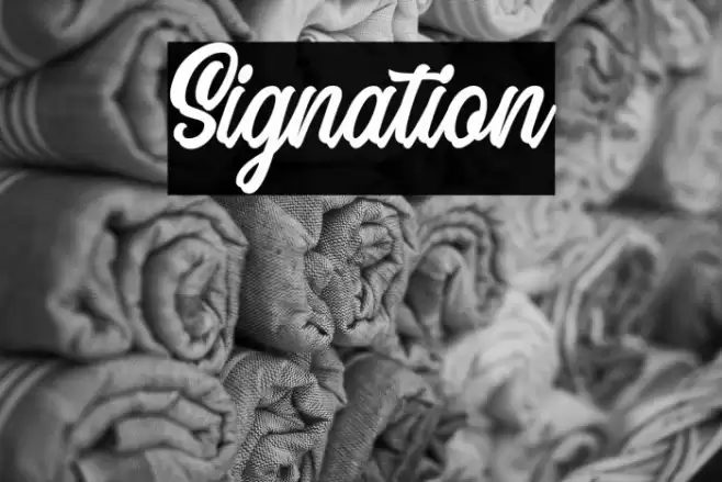 Signation Font examples