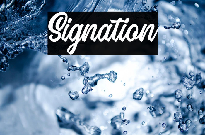 Signation Example 3