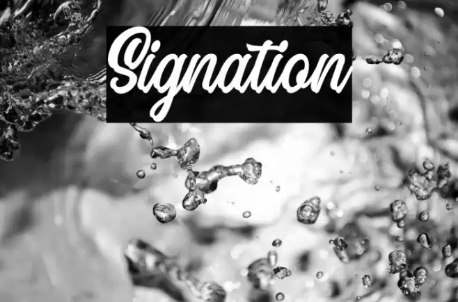 Signation Font examples