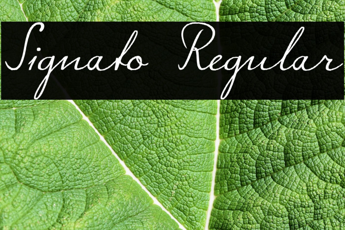 Signato Regular Font examples