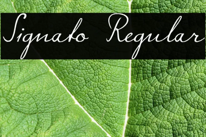 Signato Regular Example 2