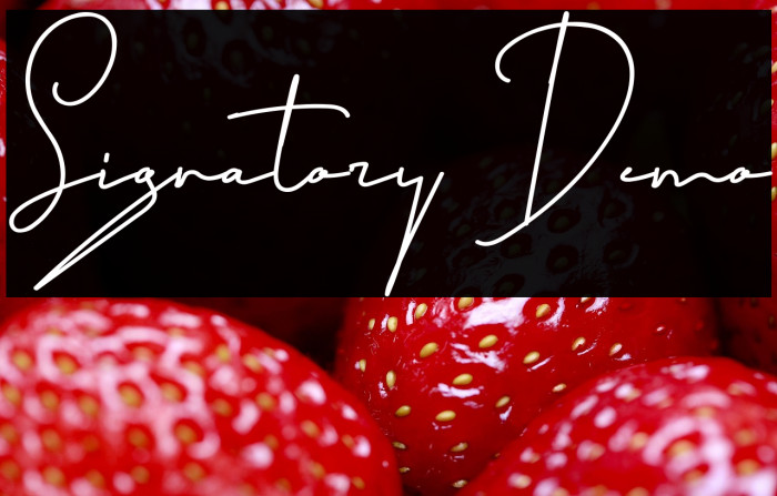 Signatory Demo Example 1