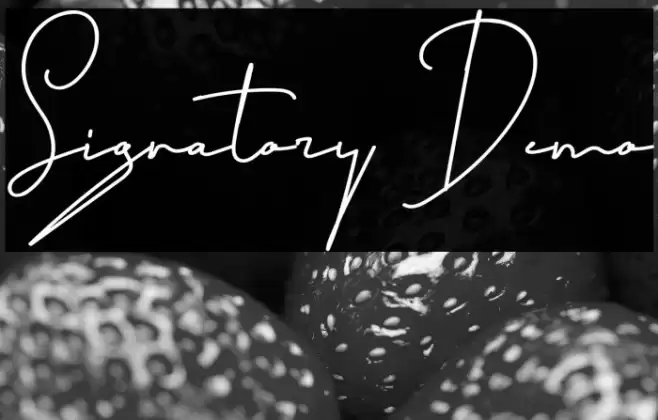 Signatory Demo Font examples