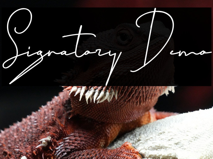 Signatory Demo Example 3