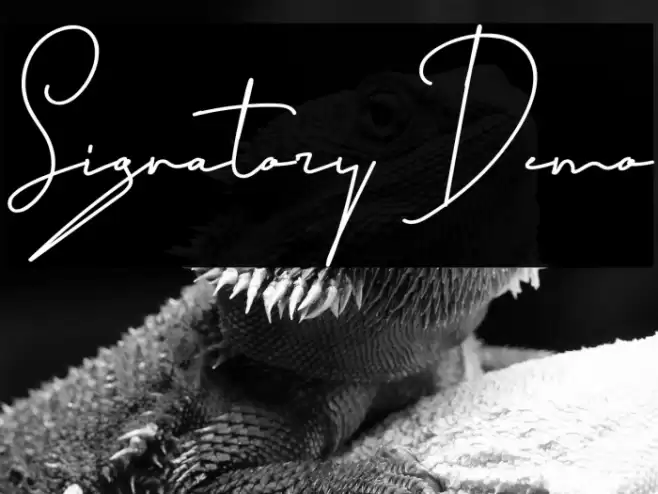 Signatory Demo Font examples