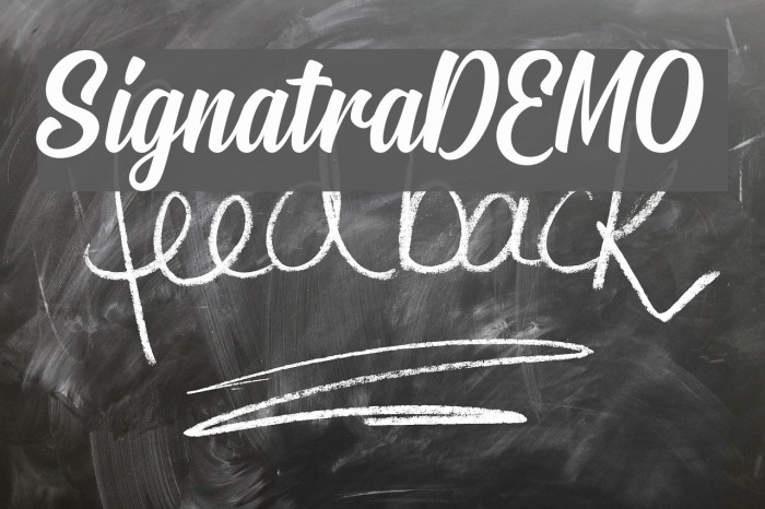 SignatraDEMO Font examples