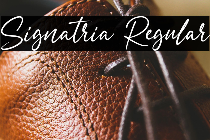 Signatria Regular Example 1