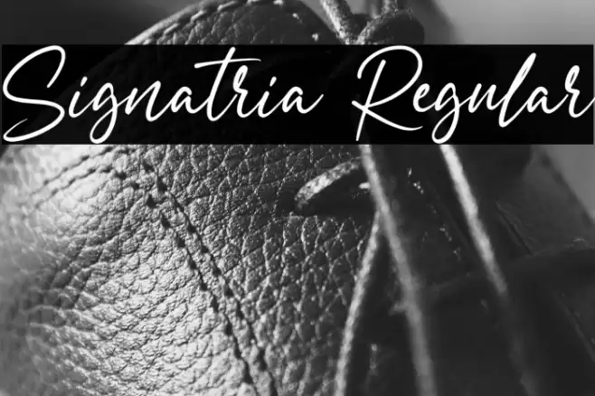 Signatria Regular Font examples