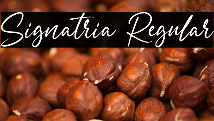 Signatria Regular Example 2