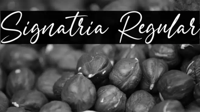 Signatria Regular Font examples
