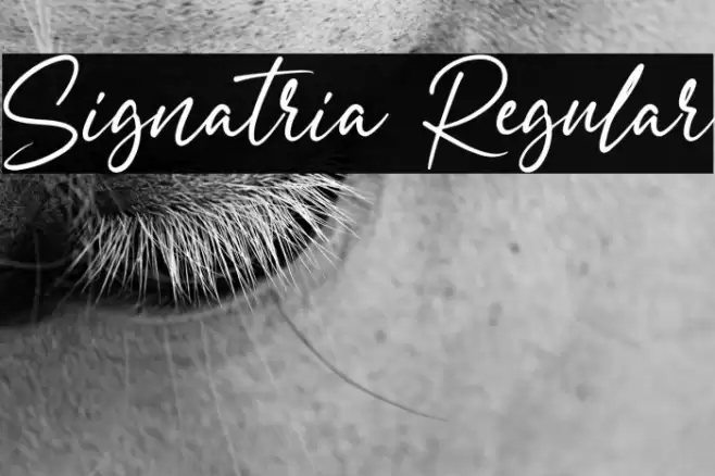 Signatria Regular Font examples
