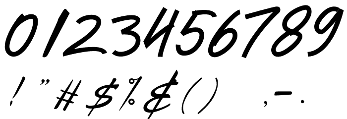 Signatrue Font OTHER CHARS