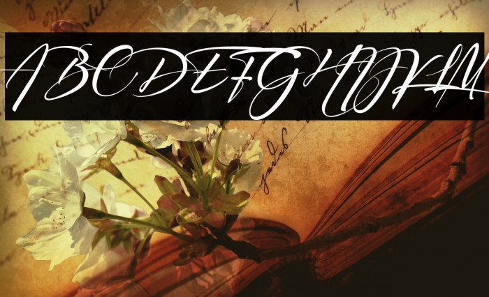 Signatrue Font examples