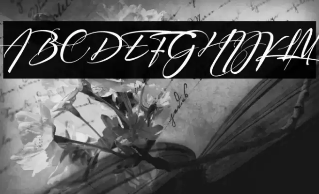 Signatrue 字体 examples