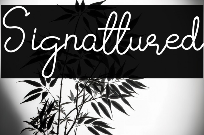 Signattured Example 1