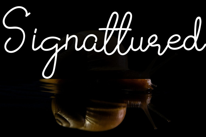 Signattured Example 2