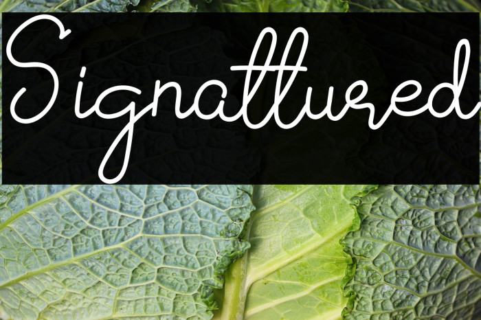 Signattured Example 3