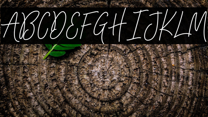 Signatura Monoline Script Regular Example 2