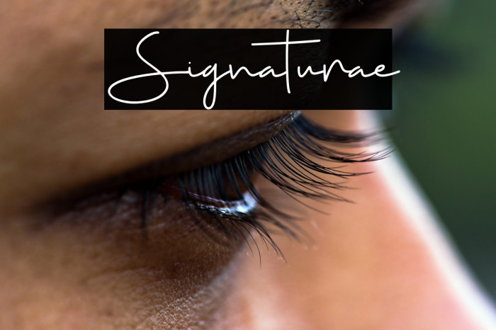 Signaturae Font examples