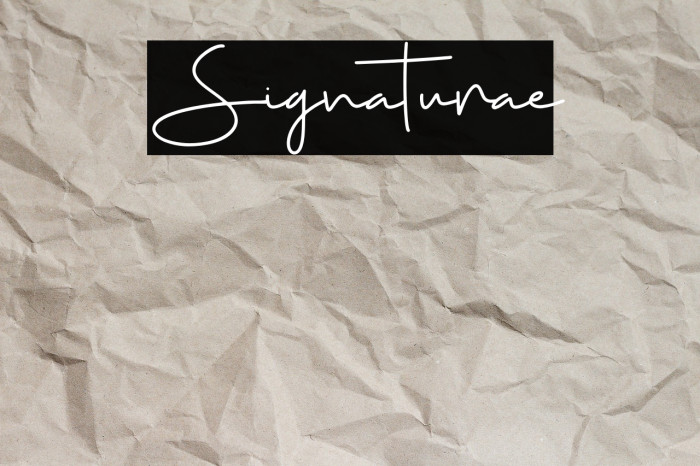 Signaturae Font examples