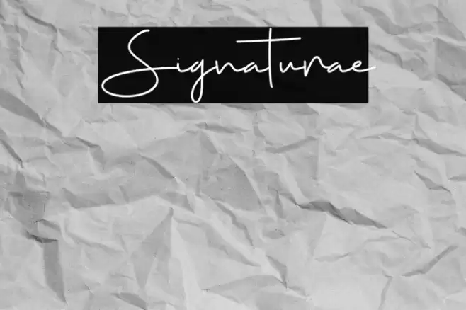Signaturae Font examples