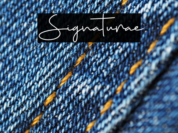 Signaturae Font examples
