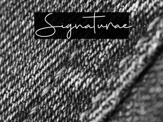 Signaturae Font examples