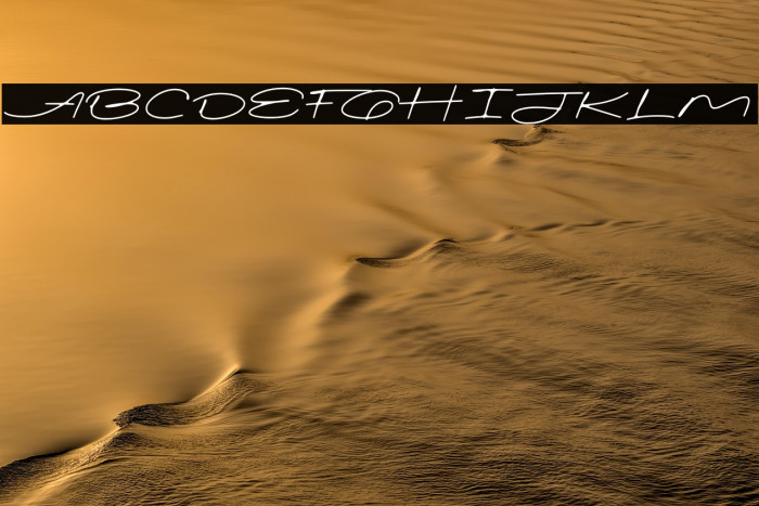 Signatural Demo Regular Example 3