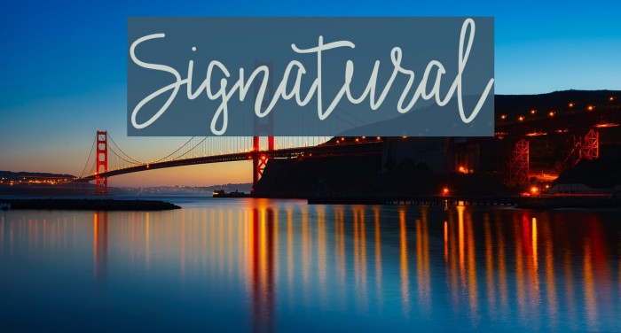 Signatural Example 2