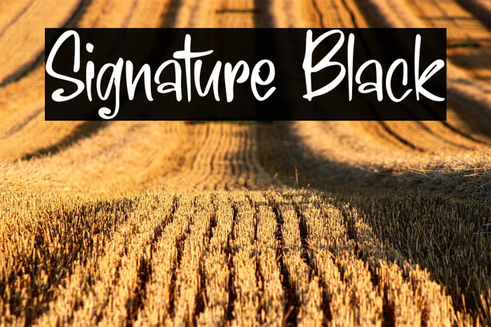 Signature Black Example 1