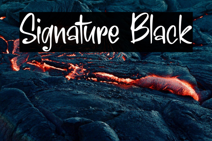 Signature Black Example 3