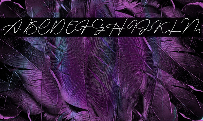 Signature Collection Example 1