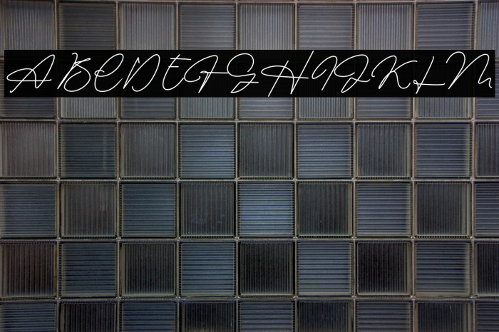 Signature Collection Example 3