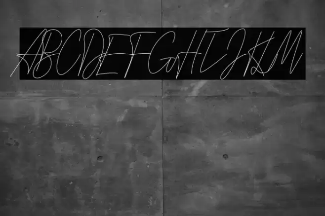 Signature Love Polices examples