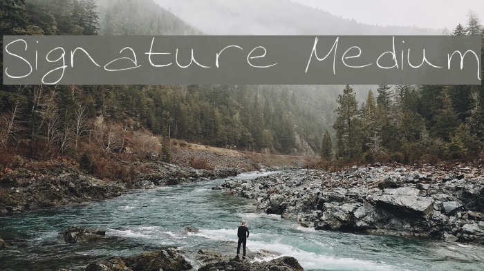 Signature Medium Font examples