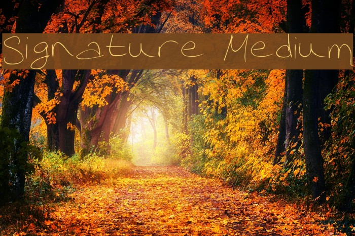 Signature Medium Font examples