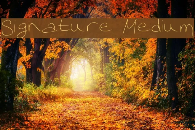 Signature Medium Example 2