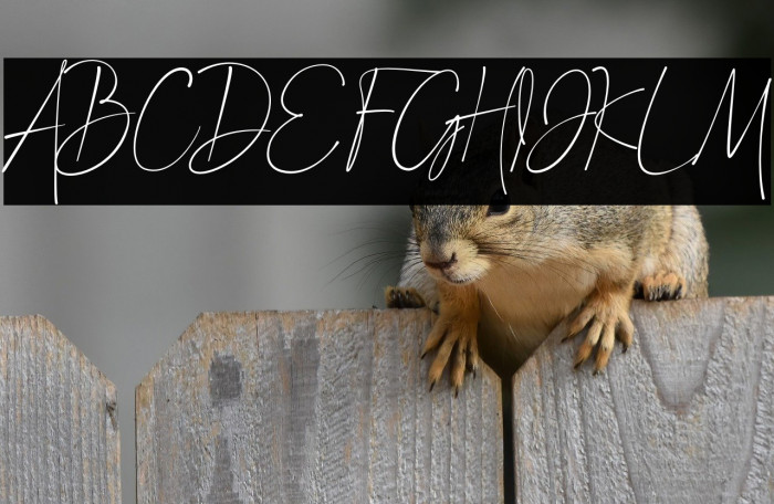 Signature Moments Example 1