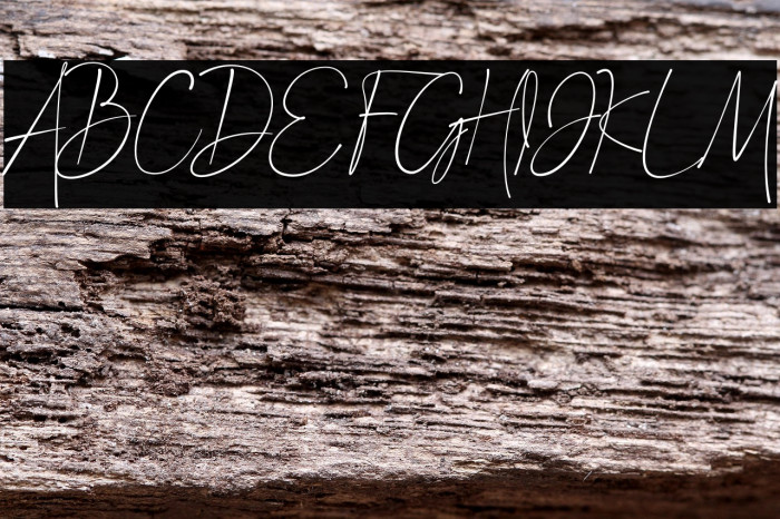 Signature Moments Example 2