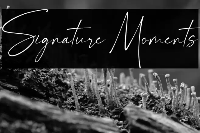 Signature Moments Font examples