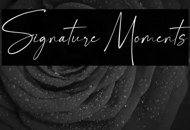 Signature Moments Font examples